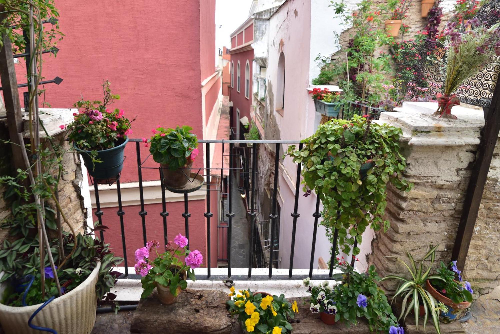 Suite Dona Ines Barrio Santacruz Sevilha Exterior foto